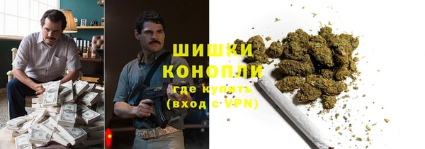 гидра Горнозаводск