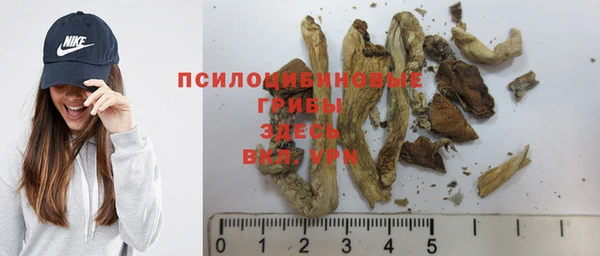 гидра Горнозаводск