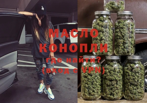 гидра Горнозаводск