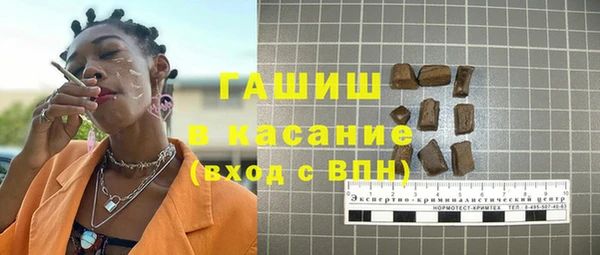 гидра Горнозаводск